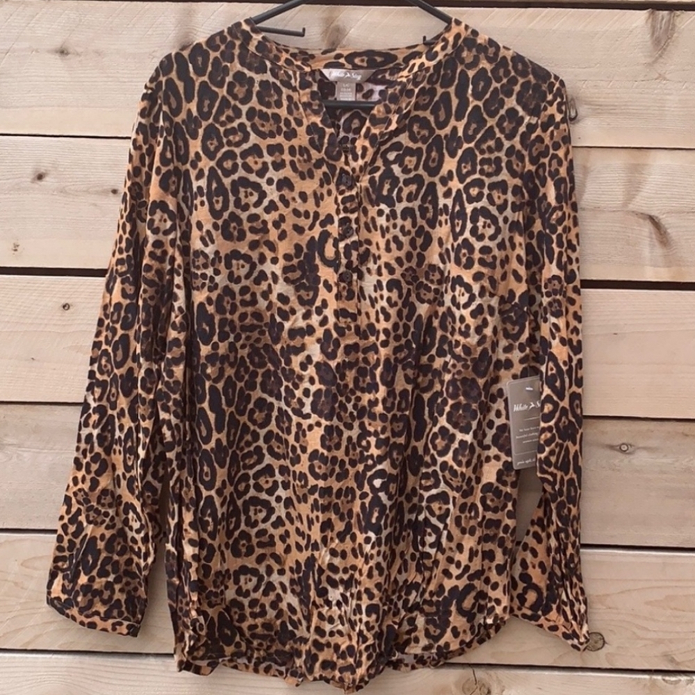 Long Sleeve Vneck Blouse